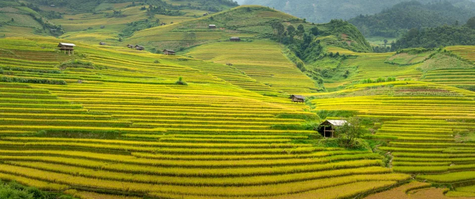 Kho gạo xếp bao