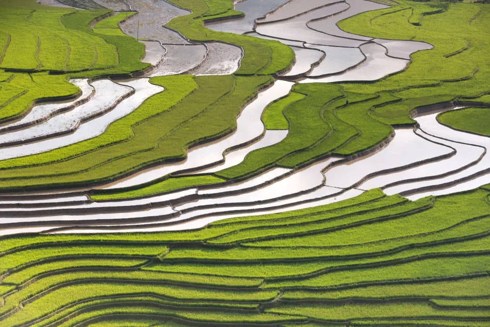 Kho gạo của Huỳnh Thị Diên