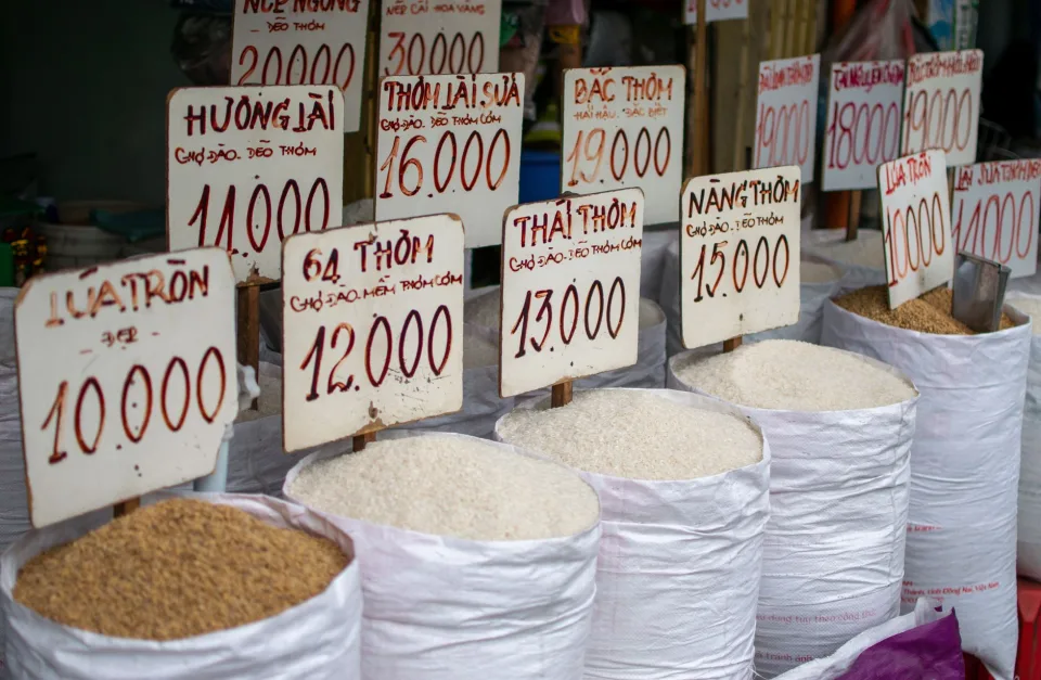 Hạt gạo trong thúng